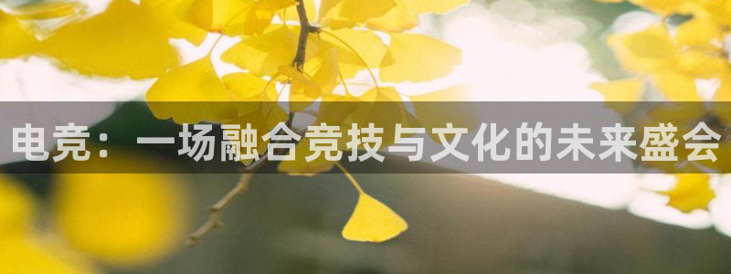 世界第一竞技游戏：电竞：一场融合竞技与文化的未来盛会