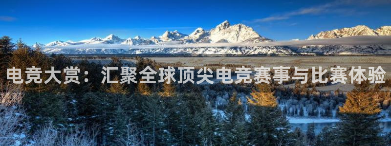 一竞技官网下载：电竞大赏：汇聚全球顶尖电竞赛事与比赛体验