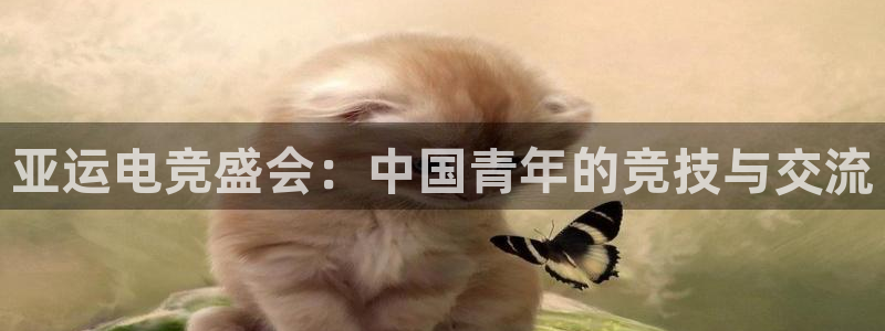 轻轻说打一竞技：亚运电竞盛会：中国青年的竞技与交流