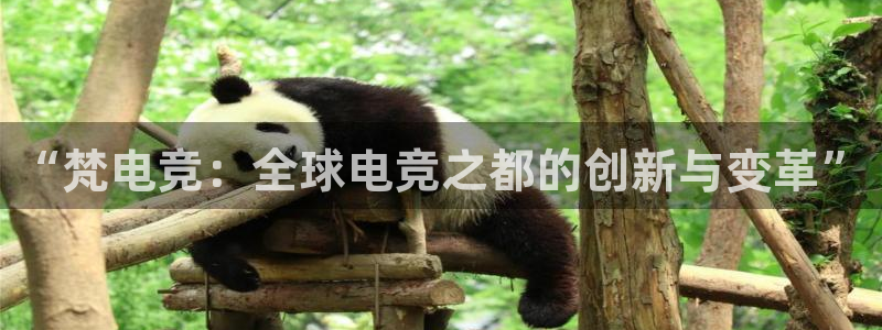 一竞技官网登录入口