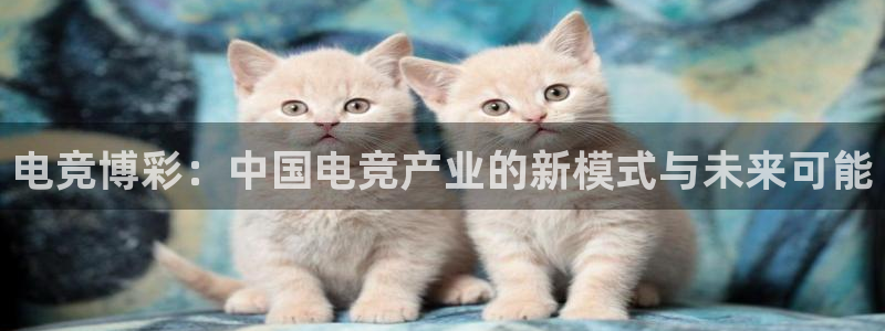 一竞技这个平台怎么样