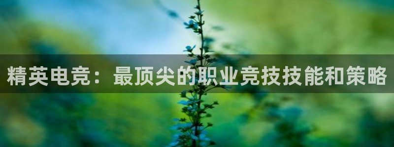 一竞技电竞