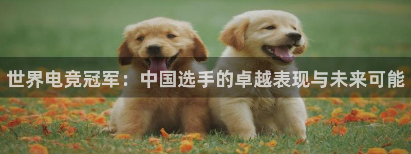 一竞技