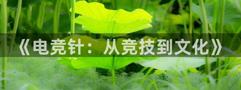一竞技官网下载