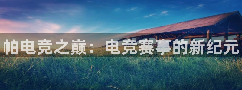 轻轻说打一竞技