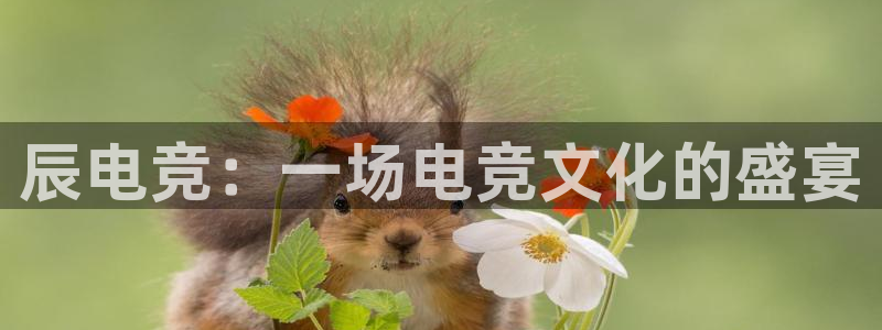 一竞技电竞