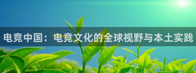 一竞技官网测速入口：电竞中国：电竞文化的全球视野与本土实践