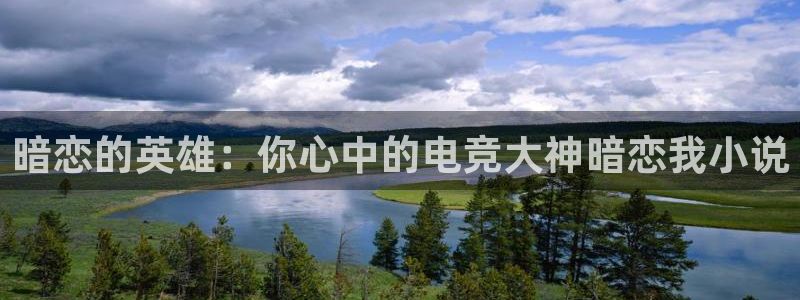 一竞技app官网入口