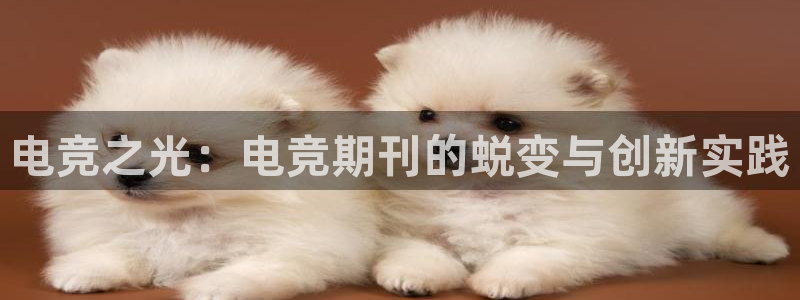 一竞技平台怎么样：电竞之光：电竞期刊的蜕变与创新实践