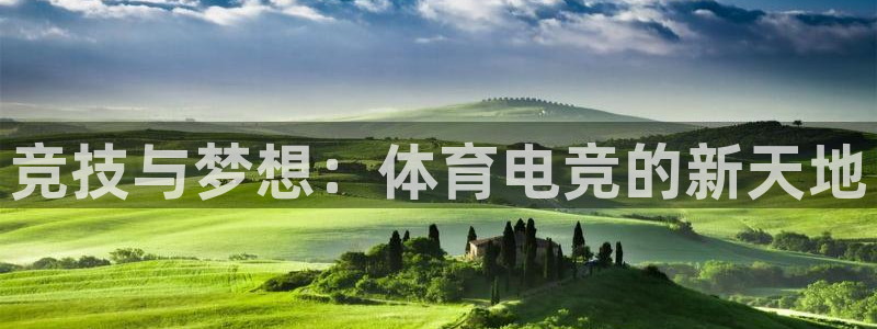 一竞技官网测速入口：竞技与梦想：体育电竞的新天地