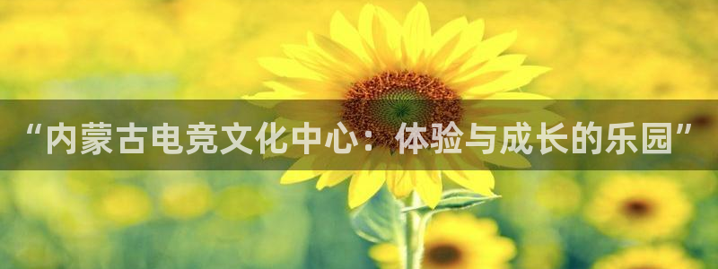一竞技官网：“内蒙古电竞文化中心：体验与成长的乐园”